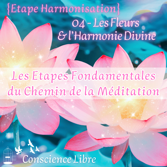 04-Les Fleurs & l'Harmonie Divine {EF: Etape Harmonisation}